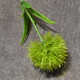 10 PCS Artificial Flowers Dandelion Plastic Flower Wedding Home Valentine Decoration(Green)