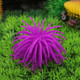 3 PCS Aquarium Articles Decoration TPR Simulation Sea Urchin Ball Coral, Size: S, Diameter: 7cm(Purple)