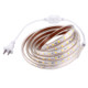2m Casing LED Light Strip, 60 LED/m, 120 LEDs SMD 5050 IP65 Waterproof with Power Plug, AC 220V(White Light)