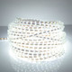 10m Casing LED Light Strip, 60 LED/m, 600 LEDs SMD 5050 IP65 Waterproof with Power Plug, AC 220V(White Light)