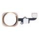 Home Button Flex Cable for iPhone 6 & 6 Plus, Not Supporting Fingerprint Identification(Gold)