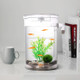 Round Plastic Creative Ecological Desktop Mini Aquarium Gold Fish Bowl, Lazy Water Tank with Cobblestone, Tree Plant Grass and LED Light