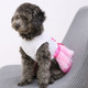 Dog Clothes Dress Lace Princess Chihuahua Pet Clothing, Size:M(Pink)