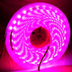 14W LED Rope Light, Epoxy Waterproof 5050 SMD, 60 LED/M, Length: 5m(Magenta)