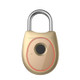 Portable Smart Fingerprint Lock Electric Biometric Door Lock USB Rechargeable IP65 Waterproof Home Door Luggage Case Lock Bluetooth Electronic Lock(Champagne Gold)