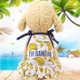 Pet Fruit Print T-Shirt Puppy Dog Cat Cute Fruit Skirt, Size:M(Skirt-Banana)