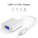 basix H6 USB-C / Type-C to VGA Multi-function Converter, Cable Length: 15cm(White)