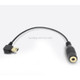 10pin Mini USB to 3.5mm Mic Adapter Cable for GoPro HERO3, Length: 16.5cm