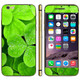 Clover Pattern Mobile Phone Decal Stickers for iPhone 6 & 6S