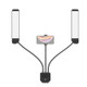 RK39 Portable Tri-color Adjustable Brightness Double Arms Fill Light with Phone Clamp (Black)