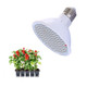 YWXLight E27 AC85-265V 20W LED Plant Growth Bulb