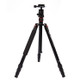 Triopo MT-2504C Adjustable Portable Aluminum Tripod (Gold) with NB-1S Ball Head (Black) for Canon Nikon Sony DSLR Camera