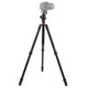 Triopo MT-2804C Adjustable Portable Aluminum Tripod (Gold) with NB-2S Ball Head (Black) for Canon Nikon Sony DSLR Camera