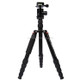 Triopo MT-2805C Adjustable Portable Aluminum Tripod with NB-2S Ball Head for Canon Nikon Sony DSLR Camera(Black)