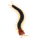 Remote Control Animal Centipede Creepy-crawly Prank Funny Toys Gift for Kids, Color Random Delivery