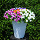 Floral Hollow Home Decorated Multiple Color Simple Flower Arrangement Plastic Vase Flower Pots for Wedding Decoration, Random Color Delivery