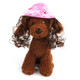 Pet Accessories Pet Princess Hat Sun Hat Teddy Wig Hat(Diamond)