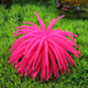 3 PCS Aquarium Articles Decoration TPR Simulation Sea Urchin Ball Coral, Size: S, Diameter: 7cm(Pink)