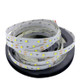 YWXLight 5M LED Strip Lights, 2835SMD Non-Waterproof LED Strip DC 12V 300LED LED Light Strips (Cold White)