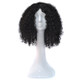 T191006 European and American Wig Headgear with Short and Small Curly Hair for Women (Black)