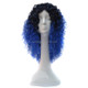 T191006 European and American Wig Headgear with Short and Small Curly Hair for Women (Sapphire Blue)