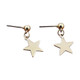 Women Simple Star Stud Earrings(gold)
