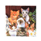 5 PCS Colorful Print Cat Party Decoration Napkin Facial Tissue