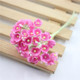 5 Branches DIY Hand-simulated Plum Mini Flocking Cloth Lucky Flower(Drak Pink)