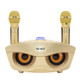 SD-306 2 in 1 Family KTV Portable Wireless Live Dual Microphone + Bluetooth Speaker(Gold)