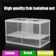 Large With Clapboard Incubator Small Fish Isolation Box Net Tropical Fish Breeding Box