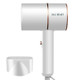 DAI HEART BG-F01 Home Dormitory Silent Negative Ion Hair Dryer, CN Plug(Pearl White)