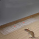 Anti-rodent Strong Sticky Board Transparent Sticky Mouse with Mousetrap Glue