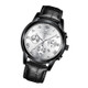 FNGEEN 4006 Men Automatic Mechanical Watch Waterproof Quartz Watch(Black Leather Black Steel White Surface)