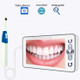 Y602 4.3 inch Portable Video USB Stomatoscope Dental Camera Mouth Mirror