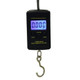 10g Mini Digital Fishing Scale Travel Weighting Steelyard Hanging Electronic Hook Scale Kitchen Weight Tool, Capacity:40kg with backlight