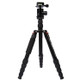 Triopo MT-2805C Adjustable Portable Aluminum Tripod (Gold) with NB-2S Ball Head (Black) for Canon Nikon Sony DSLR Camera