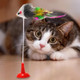 2 PCS Cat Toy Vertical Bangs Sucker Mouse Funny Cat Stick