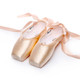 Ballet Lace Pointe Shoes Professional Flat Dance Shoes, Size: 44(Satin Nude)