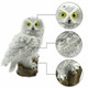 Solar Powered Owl Shape LED Night Light Garden Lawn Lamp(White)