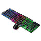 SHIPADOO D290 Wired RGB Backlight Punk Key Hat Dazzle Color Keyboard Mouse Kit for Laptop, PC(Black)