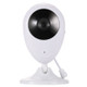 SP880 Baby Monitor 960P Camera / Wireless Remote Monitoring Mini DV Camera, with IR Night Vision ,IR Distance: 30m (US Plug)