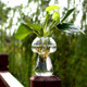 Mushroom Shaped Glass Vase Terrarium Bottle Container Flower Home Table Decoration