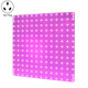 LED Plant Growth Light Indoor Quantum Board Plant Fill Light, Style: D2 45W 169 Beads AU Plug (Pink Purple)