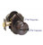 Emtek P-US15A-FD Pewter Providence Dummy Keyed Entry Knob with Your Choice of Rosette