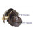Emtek P-US3NL-ENTR Unlacquered Brass Providence Keyed Entry Knob with Your Choice of Rosette