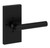 Baldwin Reserve PVTUBCFR190 Satin Black Privacy Tube Lever with Contemporary 5" Rose