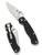 Spyderco Para Military 2 – PlainEdge Folding Knife with G-10 Handle
