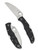 Spyderco Endura 4 Wharncliffe PlainEdge Knife