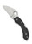 Spyderco Dragonfly 2 Wharncliffe Folding Knife