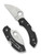 Spyderco Dragonfly 2 Wharncliffe Folding Knife